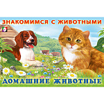 Книжка " Фламинго " А5 16стр Знакомимся с животными. Домашние животные, обложка - глянцевая бумага, на скобе