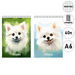 Блокнот МАЛЫЙ ФОРМАТ А6 спираль сверху 40л " Академия Групп " Белый Шпиц, клетка, обложка - мелованный картон, ВД-лак, 2 дизайна