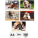 Альбом А4 24л " Hatber " ECO Хвостатые истории (ассорти), на скобе, обложка - плотная офсетная бумага, блок- офсет 100г/м2, 5 дизайнов в спайке