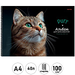 Альбом А4 40л спираль " Проф-Пресс " Зеленоглазый котик, обложка- мелованный картон, матовая ламинация, выборочный лак, блок- офсет 100г/м2, 1 дизайн в коробке