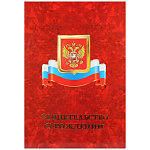 Папка адресная с файлом " Имидж " А4 ламинат Свидетельство о рождении, жесткая, Гроза с гербом и флагом