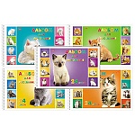 Альбом А4 24л спираль " Hatber " Милые котята (ассорти), обложка- мелованный картон, блок- офсет 100г/м2, отрывные листы, 5 дизайнов в спайке