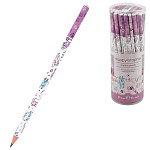 Карандаш ч/гр " Bruno Visconti " HappyGraphix.Коты, HB, трехгранный, деревянный, заточенный, пластиковый тубус