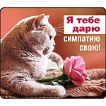 Магнит виниловый " Хорошо " 918 Я тебе дарю симпатию свою! Без отделки, 60х70мм