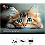 Альбом А4 24л " Проф-Пресс " Котенок- 2, склейка, обложка- мелованная бумага, блок- офсет 100г/м2, 1 дизайн в коробке