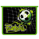 Папка " Пчелка " МАЛЫЙ ФОРМАТ А5-29 (230*190*50мм) молния сверху с дизайном Cool goal, пластик