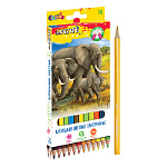 Карандаши цветные пластиковые Животный мир 24цв " deVente " 2М шестигранные, картонная упаковка, европодвес