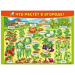 Плакат " Мир поздравлений " 941 А2 Что растет в огороде
