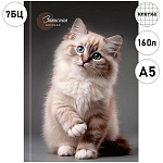 Записная книжка А5 7БЦ 160л " Проф-Пресс " Красивый кот- 1, клетка, обложка - глянцевый ламинированный картон, сшивка, лен