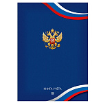 Книга учета 7БЦ, А4 196л, клетка, офсет, сшивка " Проф-Пресс " Символика России-6