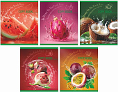 Тетрадь А5 48 л "Фрукты", 165х205 мм, на скобе, клетка, обложка - мелованный картон