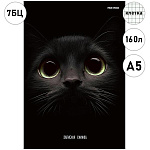 Записная книжка А5 7БЦ 160л " Проф-Пресс " Взгляд кота, клетка, обложка - глянцевый ламинированный картон, сшивка