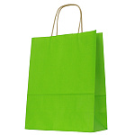 Пакет бумажный " ПЗБМ " 25*22*12см Green, крученые ручки, печать на дне