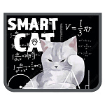 Папка " Пчелка " МАЛЫЙ ФОРМАТ А5-29 (230*190*50мм) молния сверху Кот ученный, печать на пластике