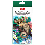 Карандаши " Hatber " акварельные Supremo Aqua 12цв, круглые, деревянные, картонная упаковка, европодвес