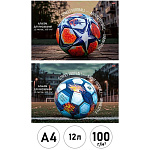 Альбом А4 12л " Проф-Пресс " Разные футбольные мячи- 6, на скобе, обложка- мелованная бумага, блок- офсет 100г/м2, 2 дизайна в спайке