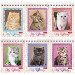 Блокнот МАЛЫЙ ФОРМАТ А7 спираль сверху 40л " Hatber " Котята ", клетка, обложка - мелованный картон, 6 дизайнов