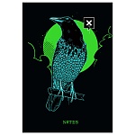 Записная книжка А5 7БЦ 80л " Эксмо " Neon party. No 5, клетка, обложка - матовый ламинированный картон, сшивка, белый блок