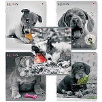 Тетрадь А5 48л клетка " Альт " Щенки. Контрасты, офсет, на скобе, обложка - мелованный картон, сплошной УФ-лак, скругленные углы, 5 дизайнов в спайке