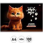 Альбом А4 40л " Проф-Пресс " Зеленоглазый котенок, скоба, обложка- мелованная бумага, блок- офсет 100г/м2, 1 дизайн в коробке