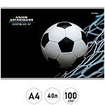 Альбом А4 40л " Проф-Пресс " Мяч в сетке, скоба, обложка- мелованный картон, блок- офсет 100г/м2, лен, 1 дизайн в коробке